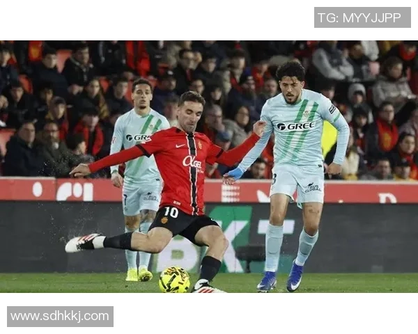 足总杯历史冷门里昂逆袭本菲卡点球大战引爆全场激情